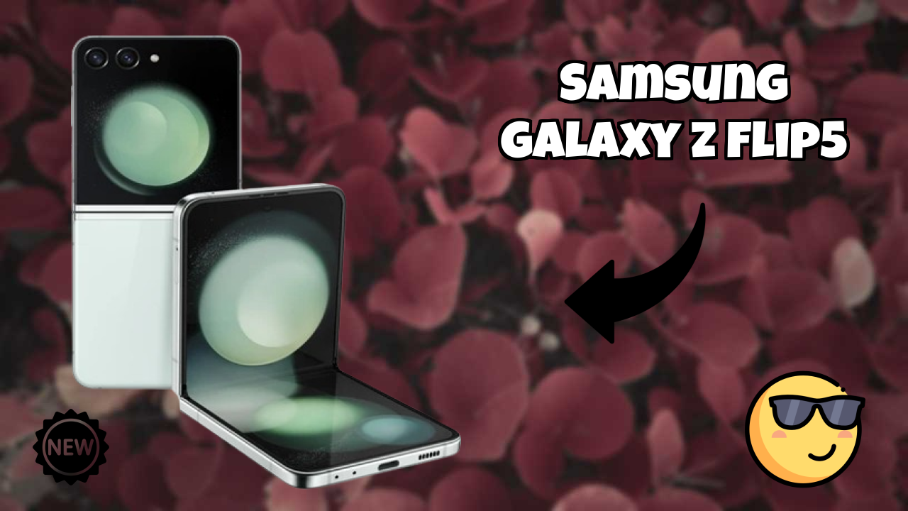 Samsung Galaxy Z Flip5 Display Quality: Dynamic AMOLED 2x (Main Display) Review